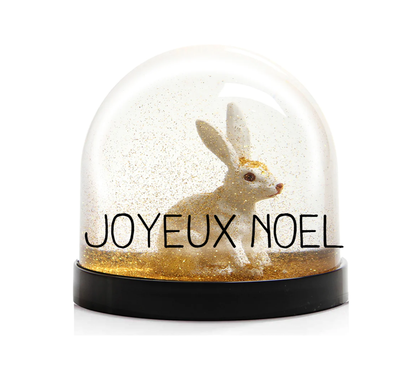 Boule à neige - Animal ou Père Noël