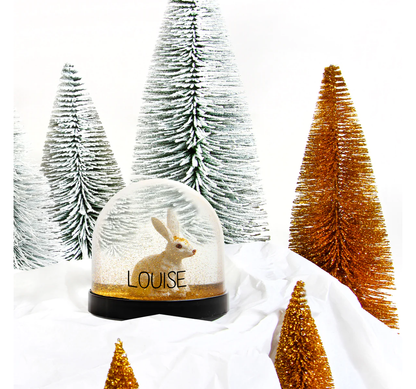 Boule à neige - Animal ou Père Noël