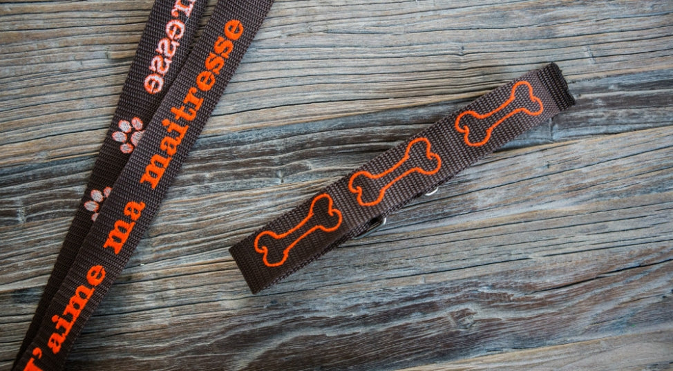 Collier de chien personnalisé