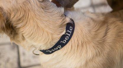 Collier de chien personnalisé