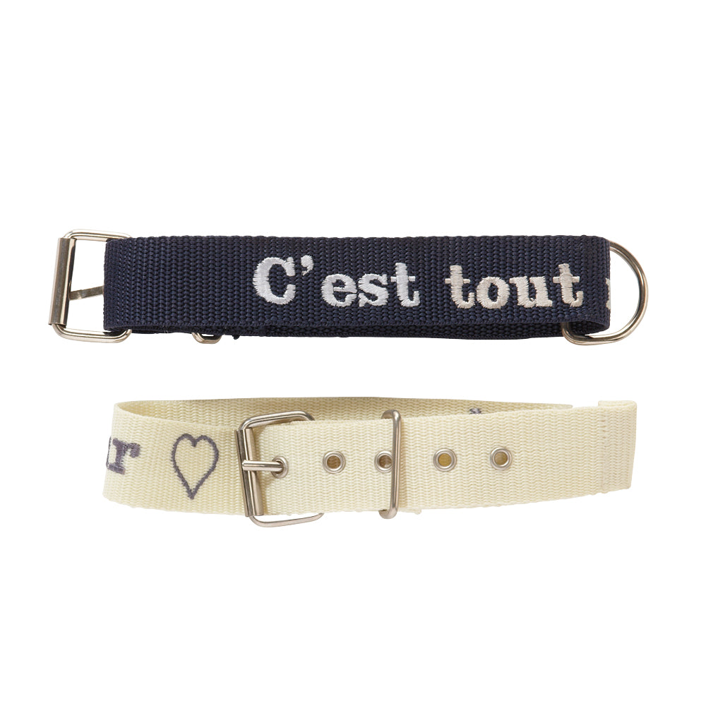 Collier de chien personnalisé